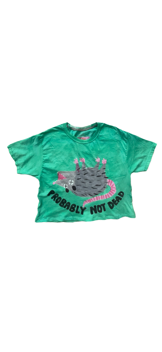 Probably Not Opossom T-Shirt